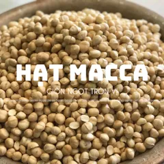 Hạt Macca Size Trung 500g CAOFOOD - Hạt Nguyên Vỏ Ngon, Béo Bùi - Thực Phẩm Lành Mạnh Cho Gia Đình, Không Đường, Không Chất Bảo Quản