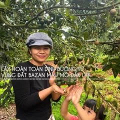 Hạt Macca Size Trung 500g CAOFOOD - Hạt Nguyên Vỏ Ngon, Béo Bùi - Thực Phẩm Lành Mạnh Cho Gia Đình, Không Đường, Không Chất Bảo Quản