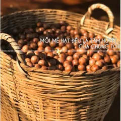 Hạt Macca Size Trung 500g CAOFOOD - Hạt Nguyên Vỏ Ngon, Béo Bùi - Thực Phẩm Lành Mạnh Cho Gia Đình, Không Đường, Không Chất Bảo Quản