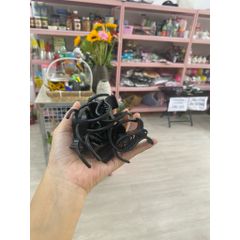 Kẹp càng cua đen xịn xò