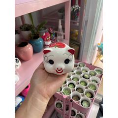 [Lỗ tròn] Heo Sứ Mini Họa Tiết Ngẫu Nhiên
