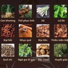 Thảo Dược Ngâm Chân (30 GÓI) đau lưng, nhức mỏi, hôi chân - Chuẩn GMP