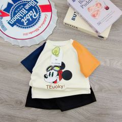 Bộ thun cotton micky phối màu cute dễ thương đáng yêu phong cách hàn quốc mùa hè mát mẻ cho bé
