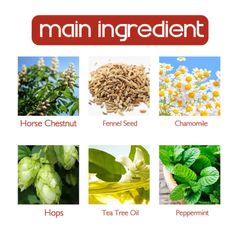 Xịt Hỗ Trợ Giảm Đau Khớp - Giảm Nhanh Các Triệuu Chứngg Đau Nhức, Căng Cứng Khó Chịu