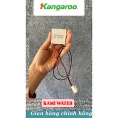 Chip lạnh Kami water FX12706 máy lọc nước Kangaroo,karofi,sunhouse,motosi (Mẫu mới của Chip Fuxxin) 731483