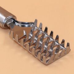 Dụng cụ đánh vảy cá (TH208)
