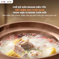 Nồi nấu chậm Bear 3L ESP-305LP