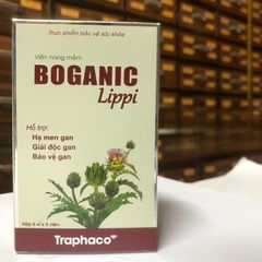 BOGANIC LIPPI - HẠ MEN GAN - GIẢI ĐỘC GAN - BẢO VỆ GAN