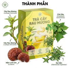 Trà Cây Rau Mương Mộc Tâm, Chè Dây, Dạ Cẩm, Nấm Linh Chi Hỗ Trợ Viêm Loét- Trào Ngược- HP Dạ Dày, Cải Thiện Tiêu Hóa, Hộp 30 Túi Lọc Tiện Lợi.