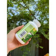 (Auth nhập khẩu) Bổ não Mỹ Trunature Ginkgo Biloba