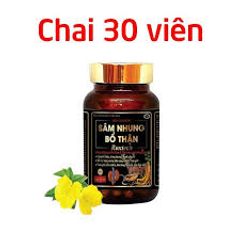sâm nhung bổ thận hỗ trợ giảm đau lưng mỏi gối tiểu đêm
