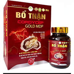 bổ thận cordycep gold MDP , hỗ trợ giảm đau lưng mỏi gối tiểu đêm