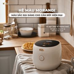 Nồi cơm điện Bear SB-NC30B 733103