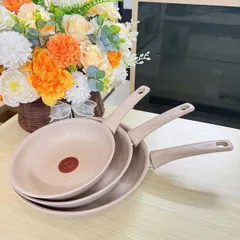 CHẢO CHIÊN CHỐNG DÍNH VÂN ĐÁ TEFAL DELIGHT
