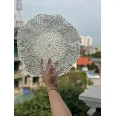 Đĩa IVV Folies 37cm