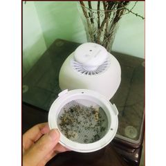 Đèn Bắt Muỗi Kết Hợp Đèn Ngủ REVA 2IN1