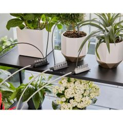 Bộ tưới cây tự động Gardena 01265