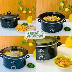 Nồi nấu chậm Robitek RB3000 dung tích 3L 735196