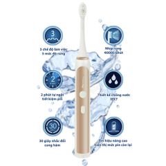 Bàn chải máy Procare KHB05 New