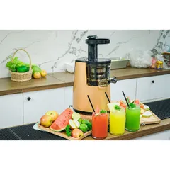 Máy ép chậm Promix SJ-06