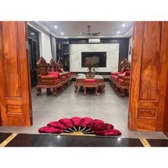 Thảm lông quạt sang xịn độc đáo, hiện đại 736523