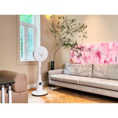 QUẠT CÂY PHUN SƯƠNG TẠO ẨM CAO CẤP DE MULLER