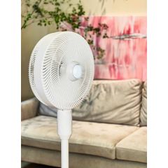 QUẠT CÂY PHUN SƯƠNG TẠO ẨM CAO CẤP DE MULLER