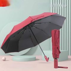 Ô thông minh tự động UV Ajisai Made in Japan 737190