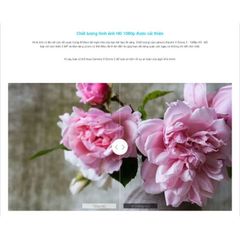 Camera Wifi Yi Dome 1080P - Camera An Ninh Giám Sát Xoay 360 Cảnh Báo Chống Trộm Bản QT Tặng Chân Đế