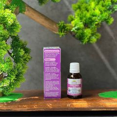 [Nhập khẩu chính ngạch] Nature's Way Kids Smart Infant Drops VD3 - Hỗ trợ bổ sung Vitamin D3 cho trẻ (Hộp 13ml)