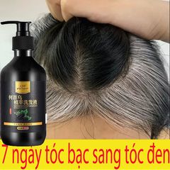 Tóc chuyển sang màu đen dầu gội đầu, tóc trắng Dầu gội đầu chuyển sang màu đen Dầu gội thảoo dượcc tự nhiên Sửa chữaa tóc