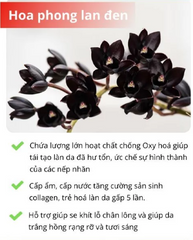 Kem Xoá Nếp Nhăn, Chống Chảy Xệ Qinglin Làm Mờ Nếp Nhăn, Trẻ Hoá Da, Se Khít Lỗ Chân Lông, Xóa Nám Tàn Nhang