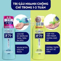 Dầu Gội Chăm Sóc Da Đầu Lion Nhật Bản – Chăm Sóc Tóc Khỏe Mạnh Từ Thiên Nhiên, Phù Hợp Với Da Nhạy Cảm