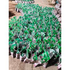 VỎ THÔNG TRỒNG LAN CHẤT LƯỢNG CAO CHO VƯỜN CÂY CẢNH (BAO 5KG)