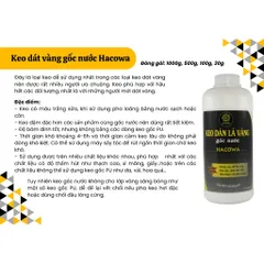COMBO TRẢI NGHIỆM DÁT 2 TRÁI DỪA GỒM 50 LÁ VÀNG, 15ML KEO GỐC NƯỚC, 15ML PHỦ BẢO VỆ GỐC NƯỚC, 2 BÚT CƯỚC