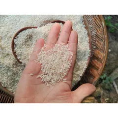 GẠO XAY XÁT TƯƠI, NHIỀU CÁM ĐẾN TỪ QUÊ LÚA, GIÀU DINH DƯỠNG, GIÚP KIỂM SOÁT ĐƯỜNG HUYẾT, HỖ TRỢ TIÊU HÓA, LÀM ĐẸP DA