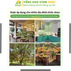 [CHÍNH HÃNG] Giá Sỉ 10 Gói Trừ Kiến, Gián, Muỗi Finico - Hiệu Quả Cao, Kéo Dài, An Toàn