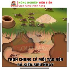 10 Gói Quản Lý Kiến Lửa Kiến Riện Và Kiến Dùng Trong Gia Dụng Chuồng Trại Hiệu Quả Cao, Lâu Dài, Hàng Nhập Date Mới Nhất