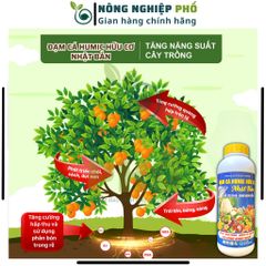 Phân Bón ĐẠM CÁ HUMIC Nhật Bản Ra Rễ Cực Mạnh, Xanh Nhanh Tốt Bền Cho Các Loại Cây Trồng, Hoa Kiểng, Rau Màu