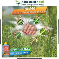 Thuốc trừ cỏ cháy nhanh Lagoote 276SL Multiagro chai lớn 1L, Diệt cỏ lưu dẫn mạnh, diệt tận gốc rễ cỏ hiệu quả nhanh 739225