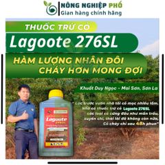 Thuốc trừ cỏ cháy nhanh Lagoote 276SL Multiagro chai lớn 1L, Diệt cỏ lưu dẫn mạnh, diệt tận gốc rễ cỏ hiệu quả nhanh 739225