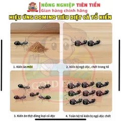 [CHÍNH HÃNG GIÁ TỐT] Quản Lý Kiến Gián Côn Trùng Nhanh Hiệu Quả FINICO 800 - Dùng Trong Nhà Ở, Cây Trồng, Chuồng Trại 739250