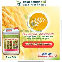 Phân tưới Tôm xanh can 5Lít cho cây cảnh, cây kiểng, rau màu, hoa...- Tăng năng suất, chất lượng cây trồng 739253
