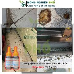 Chế phẩm diệt KIẾN GIÁN tận gốc sinh học an toàn - Hoạt chất mới, thiết kế sử dụng tiện lợi