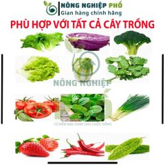 Phân Bón SIÊU VI LƯỢNG COMBI Công Nghệ Mỹ Multiagro - Hữu Cơ CẢI TIẾN MỚI Tốt Hơn, Mạnh Hơn, Cung Cấp Dinh Dưỡng Cho Cây 739275
