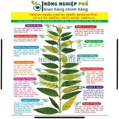 Phân Bón SIÊU VI LƯỢNG COMBI Công Nghệ Mỹ Multiagro - Hữu Cơ CẢI TIẾN MỚI Tốt Hơn, Mạnh Hơn, Cung Cấp Dinh Dưỡng Cho Cây 739275