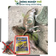 Thuốc Diệt Chuột KILlMOU2.5DP(Gói 10g) GIẢI PHÁP NÔNG NGHIỆP TIÊN TIẾN Thế Hệ Mới, Hiệu Quả Cao, Cam Kết Diệt Sạch Chuột 739276