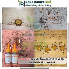 Chế phẩm diệt KIẾN GIÁN tận gốc sinh học an toàn - Hoạt chất mới, thiết kế sử dụng tiện lợi 739281