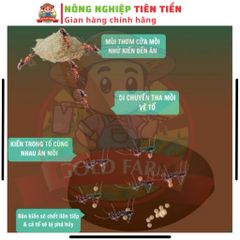 [MỞ BÁN GIÁ HỜI] COMBO RB Pronil 800 Thay Thế Re.gent Hai Lúa Diệt Sạch Kiến, Gián, Rầy, Rệp, Ve Chó, Mạt Gà, Sâu 739296