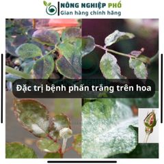 Thuốc Phòng, Trừ Nấm Bệnh Cao Cấp SIÊU VI KHUẨN Multiagro - Đặc Trị Sương Mai, Thán Thư, Thối Nhũn Trên Cây Kiểng, Hoa 739298